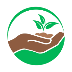 College and University